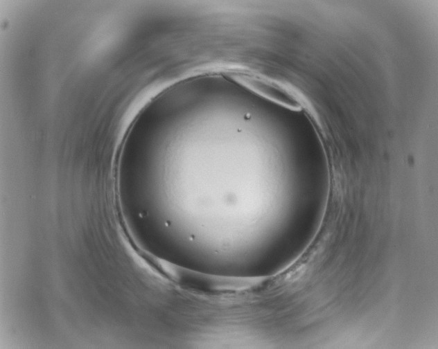 X0000070880911200606191312