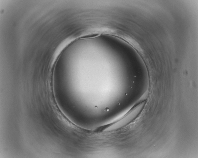 X0000070880912200606191312