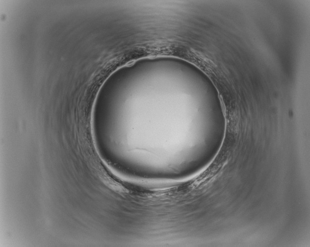 X0000070880913200606191311