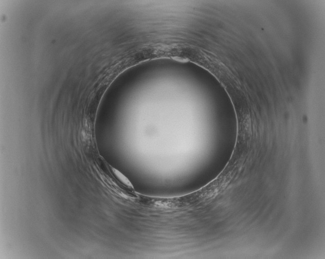 X0000070880914200606191311