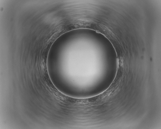 X0000070880915200606191311