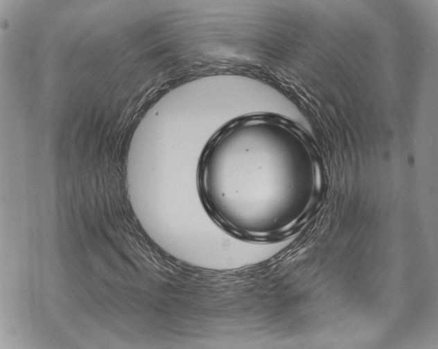 X0000070880916200606191311