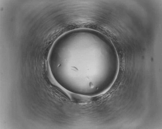 X0000070880917200606191311