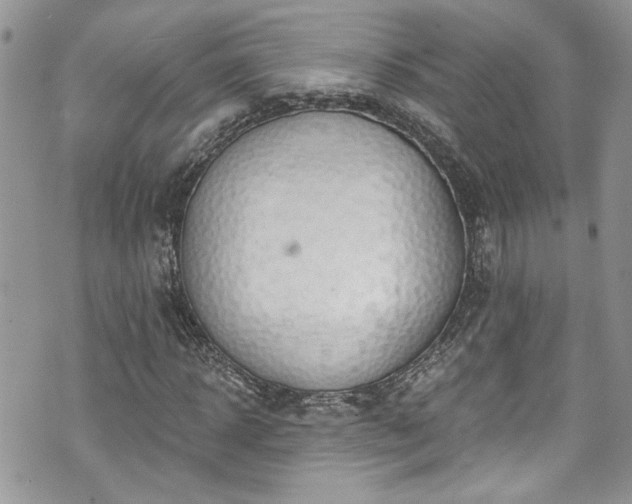 X0000070880918200606191311