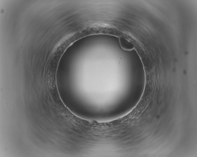 X0000070880919200606191311