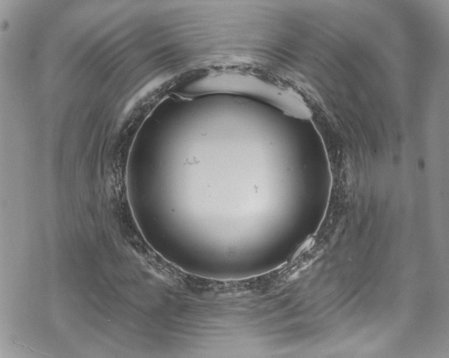 X0000070880920200606191311