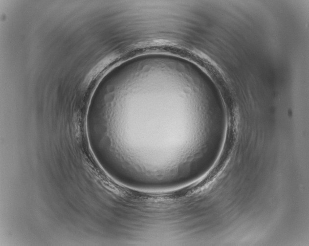 X0000070880921200606191311