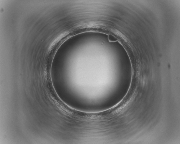 X0000070880922200606191311