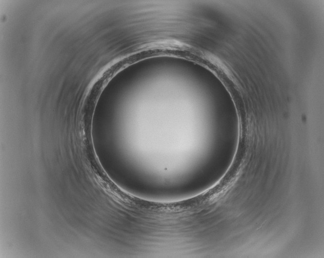 X0000070880923200606191311