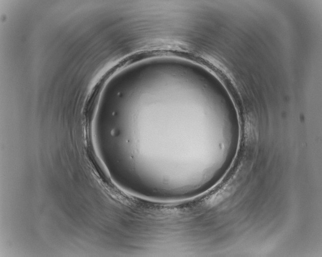 X0000070880925200606191311