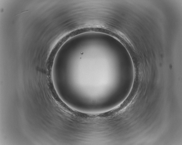 X0000070880926200606191311