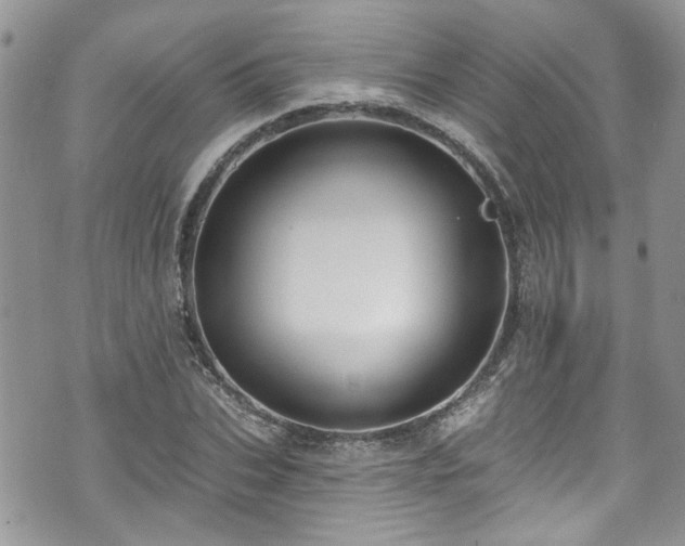 X0000070880927200606191311