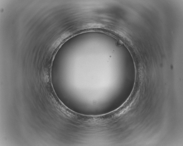 X0000070880929200606191311