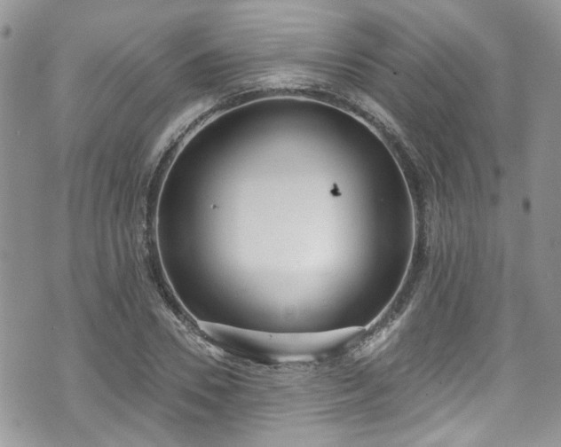 X0000070880930200606191311