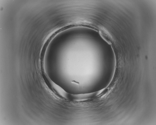 X0000070880932200606191311