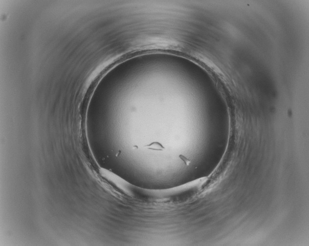 X0000070880933200606191311