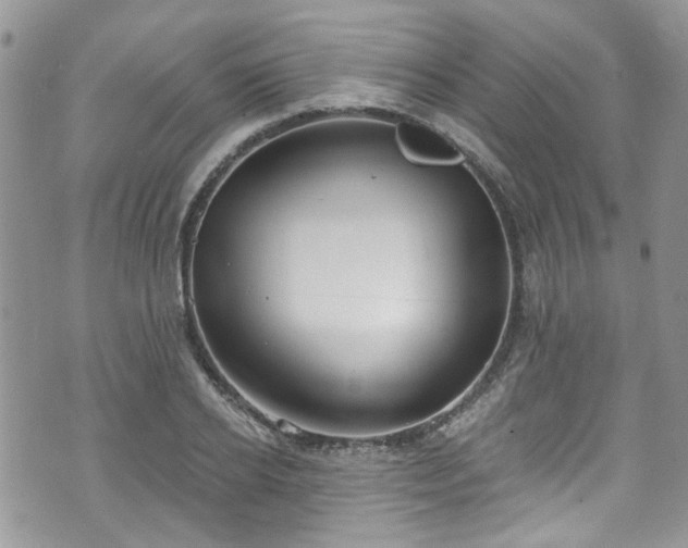 X0000070880934200606191311