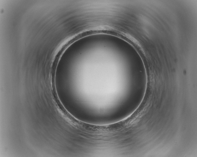 X0000070880935200606191311