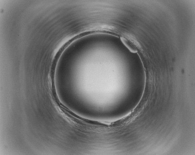 X0000070880936200606191311