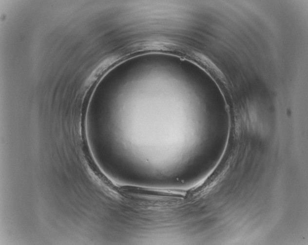 X0000070880938200606191311