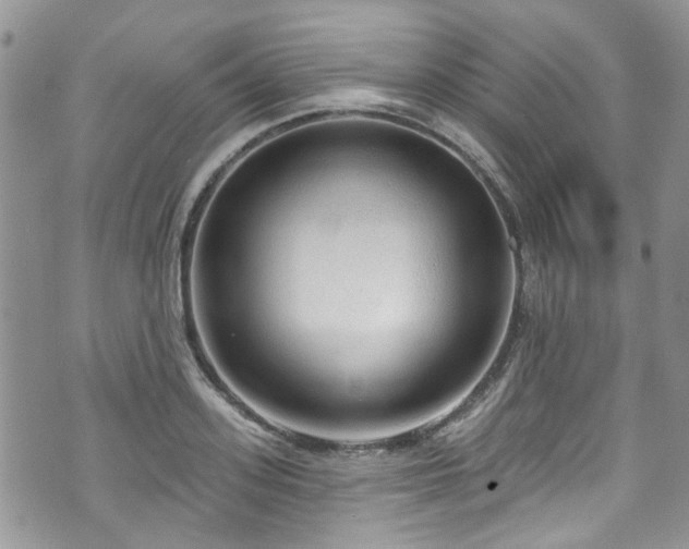 X0000070880939200606191311