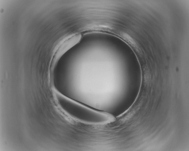 X0000070880940200606191311