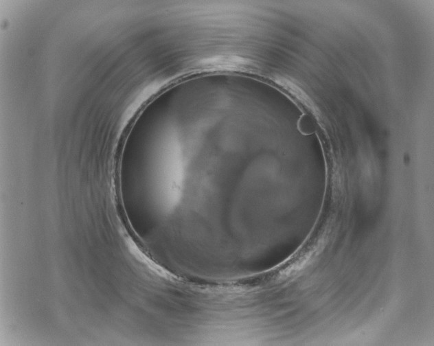 X0000070880941200606191311