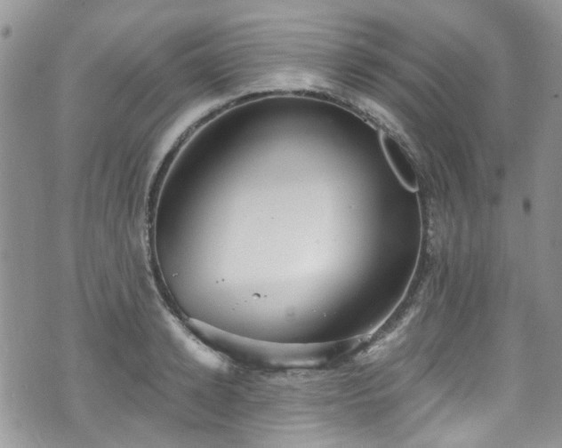 X0000070880942200606191311