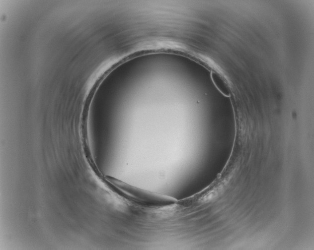 X0000070880943200606191311