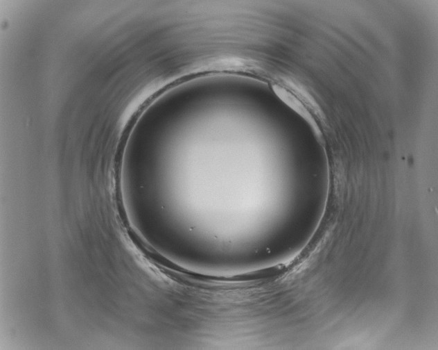 X0000070880944200606191312