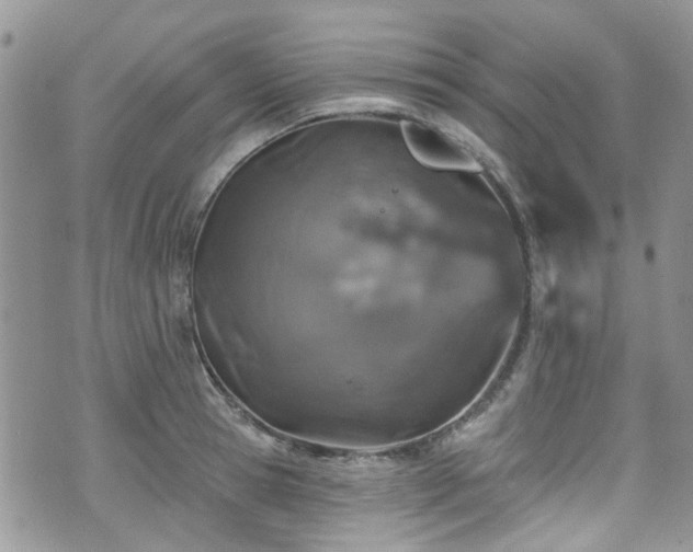 X0000070880945200606191312