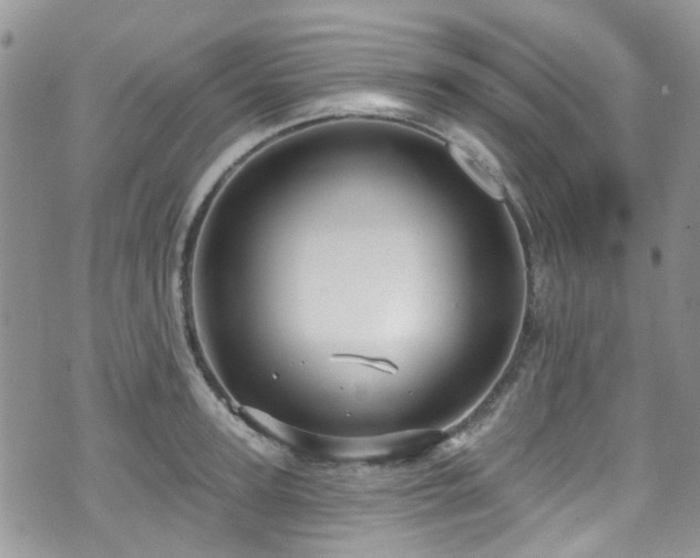 X0000070880947200606191312