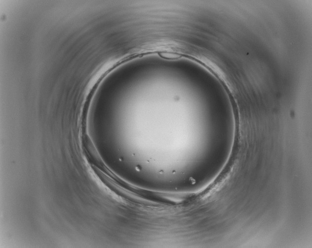 X0000070880949200606191312