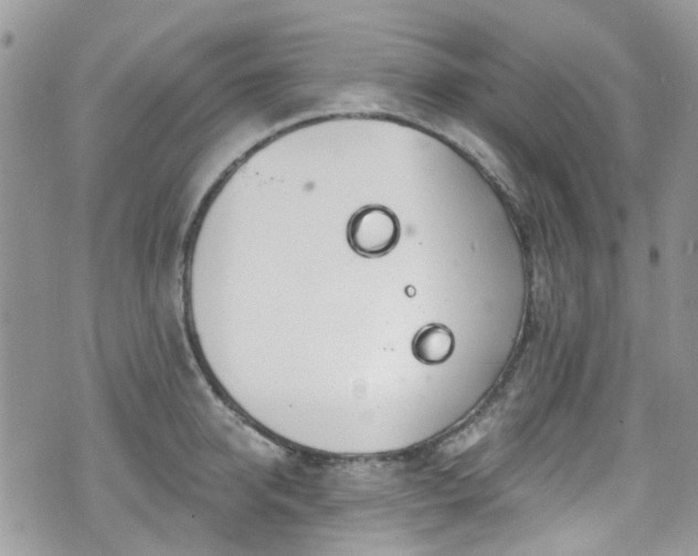 X0000070880950200606191312