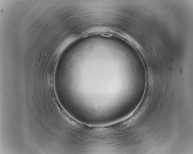 X0000070880953200606191312