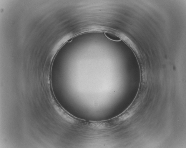 X0000070880954200606191312