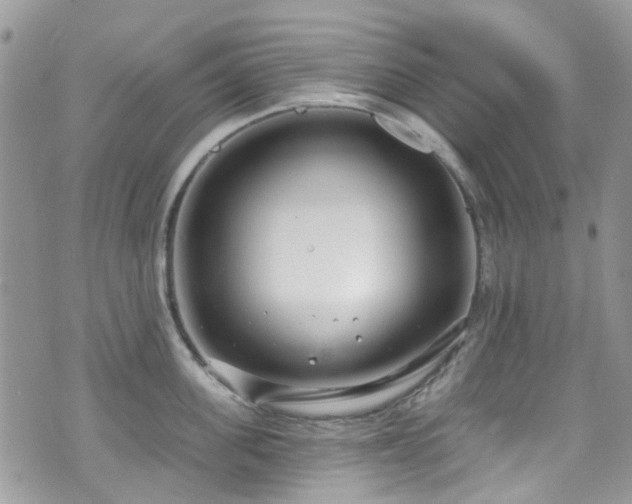 X0000070880955200606191312