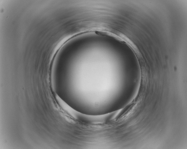 X0000070880956200606191312