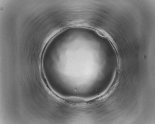 X0000070880957200606191312