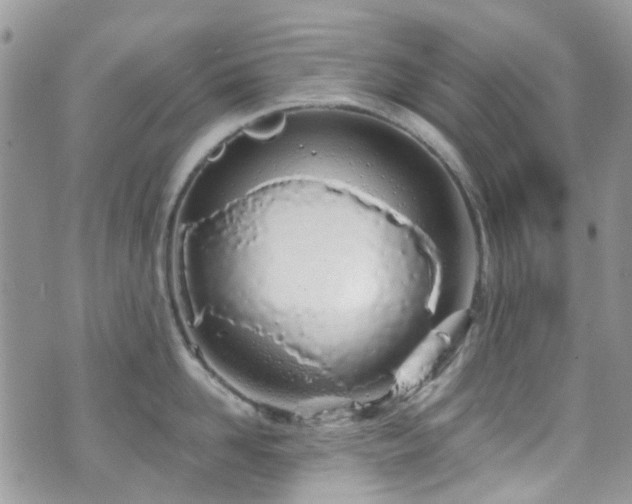 X0000070880958200606191312