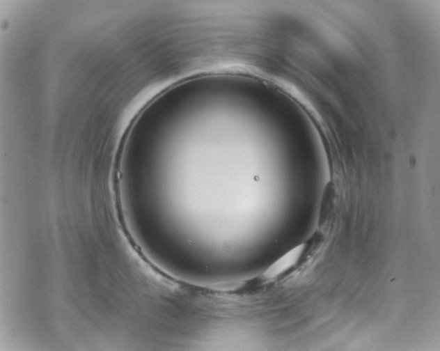 X0000070880959200606191312