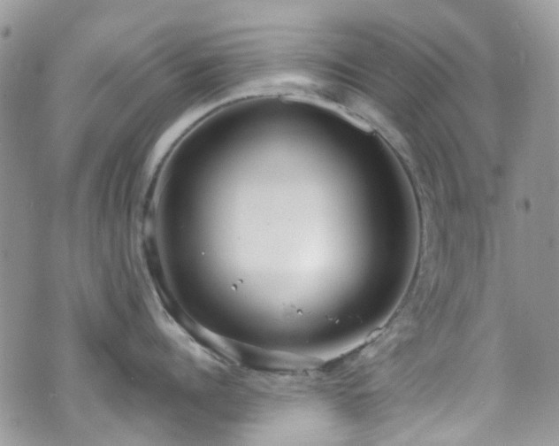 X0000070880960200606191312