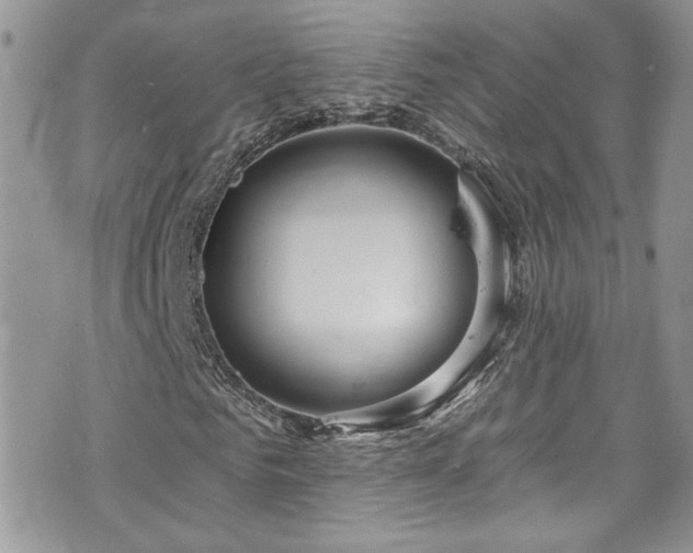 X0000070880961200606191311