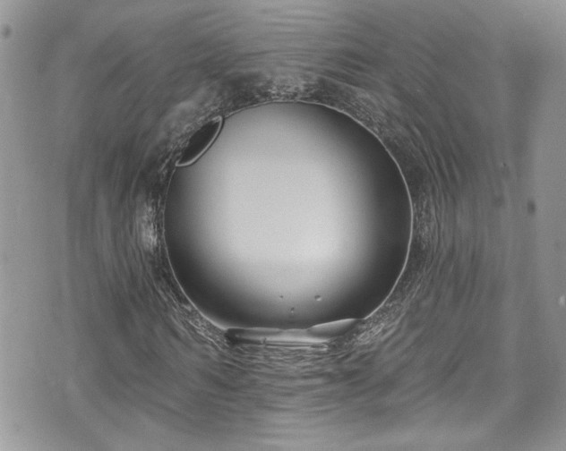 X0000070880962200606191311