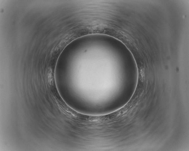 X0000070880963200606191311