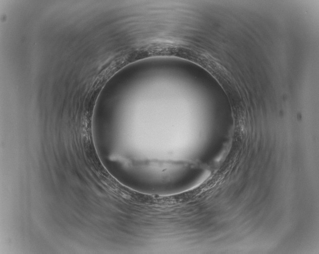 X0000070880964200606191311