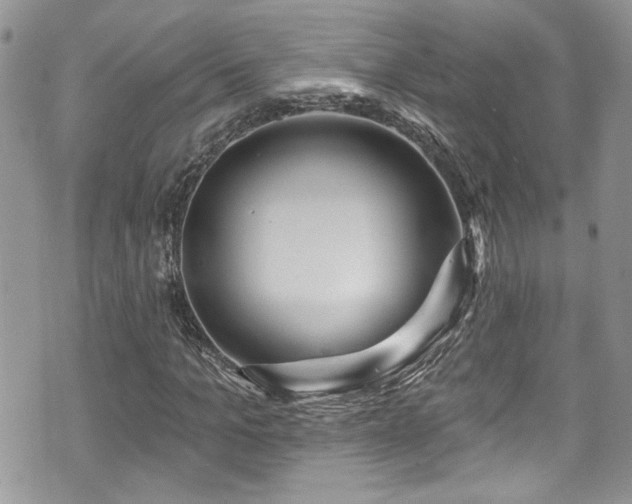 X0000070880965200606191311