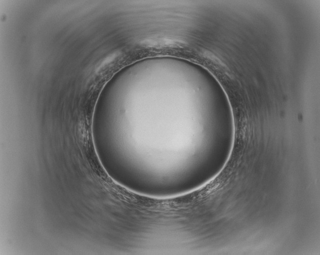 X0000070880966200606191311