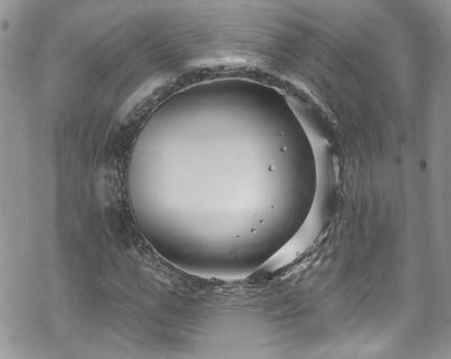 X0000070880967200606191311