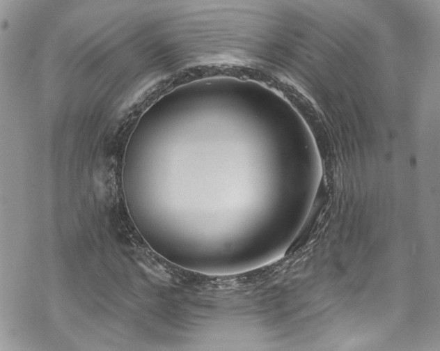 X0000070880968200606191311